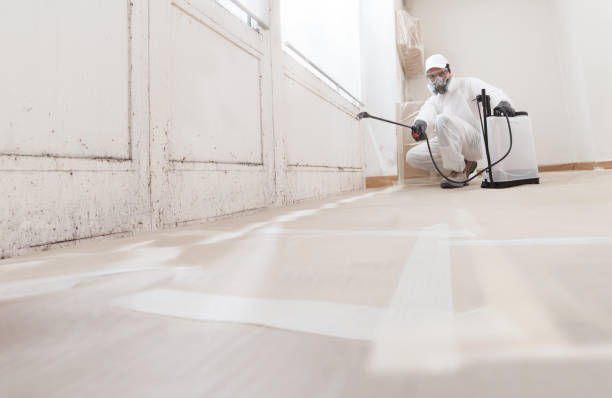 24/7 Emergency Black Mold Removal experts in Barclay, MD