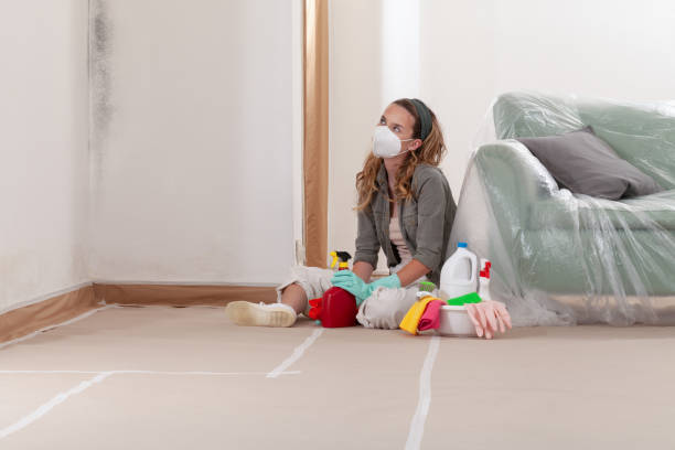 Reliable Black Mold Removal contractor in Barclay, MD by WQB Mold Removal